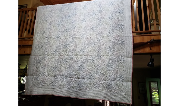 Big image mini magick20240416 8729 wwjmww