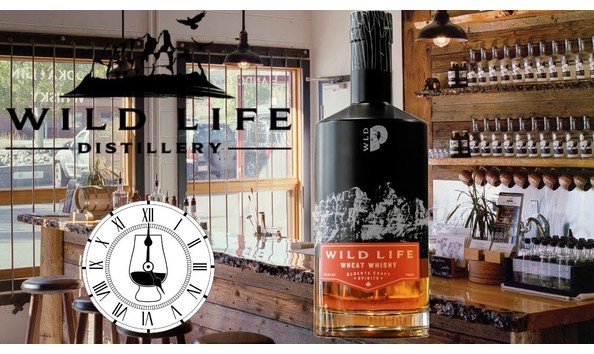 Big image maxresdefault  1 