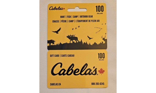 Big image 008f6e8a 4a14 48c9 a811 ea0d71bada3f