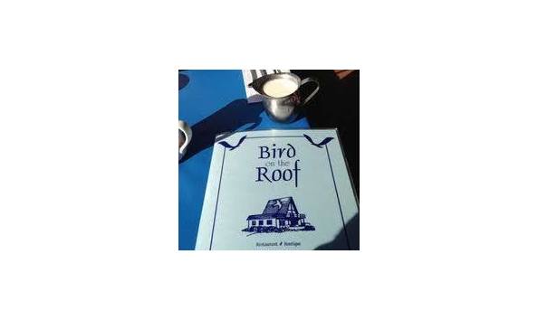 Big image bird on roof