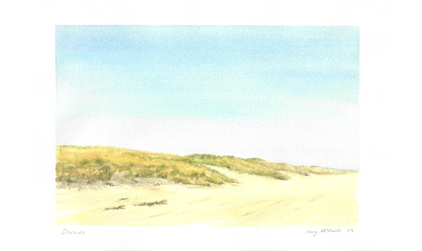 Big image two mile hollow dunes 1