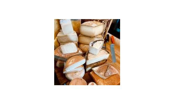 Big image cavaniolas2