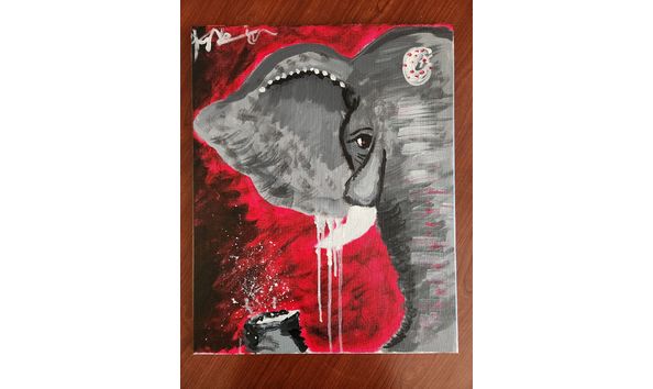 Big image 20240502 125542