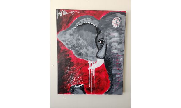 Big image 20240502 125617