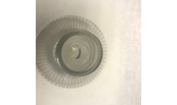 Big image mini magick20240504 82944 168e77b