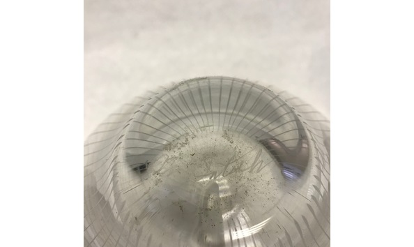 Big image mini magick20240504 82944 18s9uwn