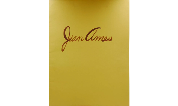 Big image ja book cover