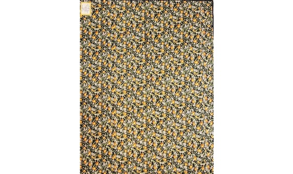 Big image resized 20240427 122917