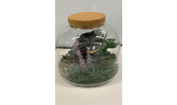 Big image 202311decor003 4   batman terrarium