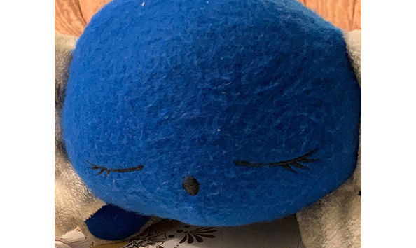 Big image 202309plush002   extra love ragaluffin   axolotl