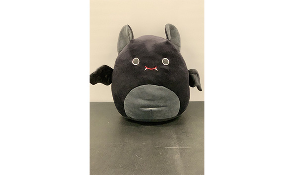 Big image 202404plush001   squishmallow emily the bat