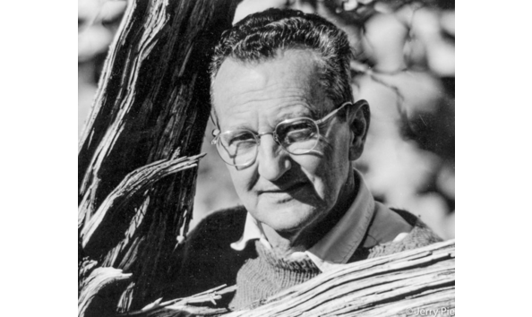 Big image screen shot 2024 05 11 at 7.14.50 pm