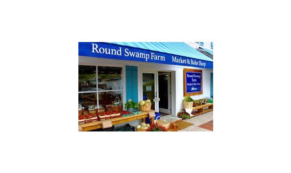 Big image round swamp