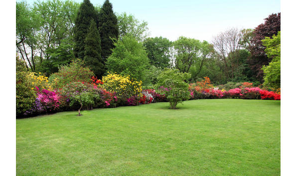 Big image garden beautiful manicured lawn summer garden border bright colourful flowering shrubs trees 32424569