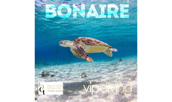 Big image boutique bonaire sq cover turtle country logo