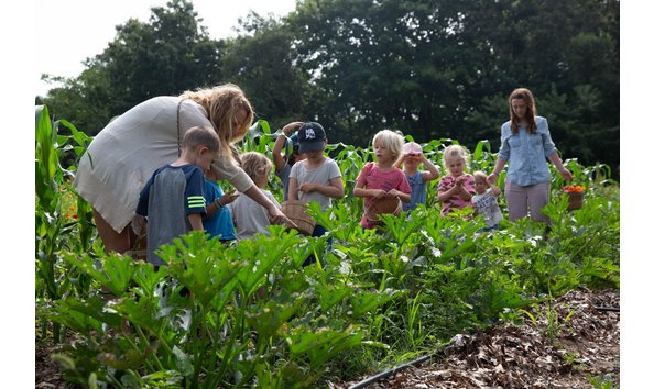 Big image farm day camp2