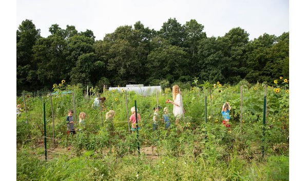 Big image farm day camp