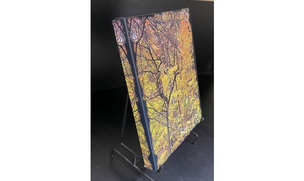 Big image fall pinnacle tree side