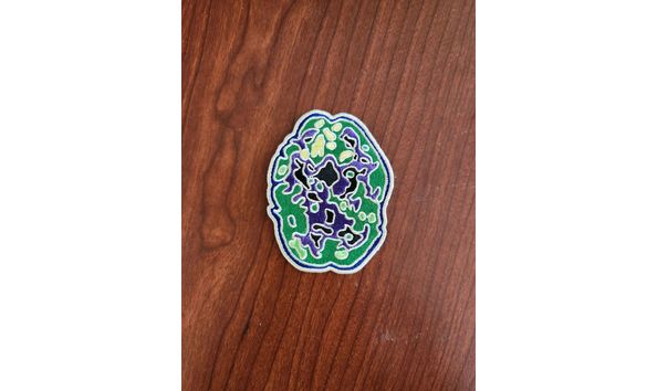 Big image 1000003257