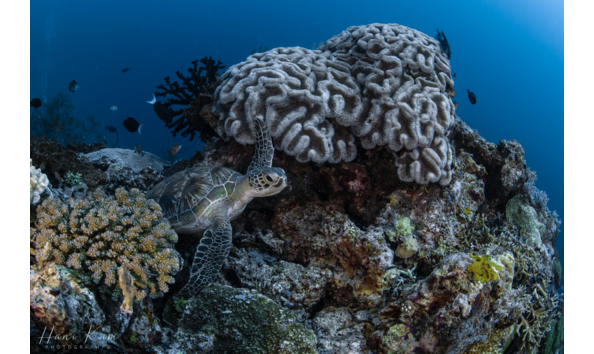 Big image screen shot 2024 05 27 at 8.57.36 am