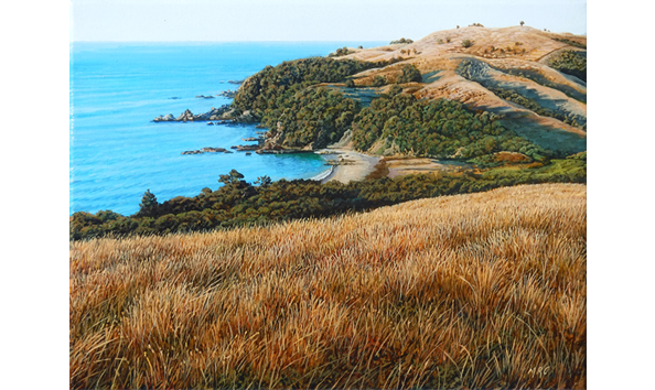 Big image owhiti  waiheke 40x 30 600