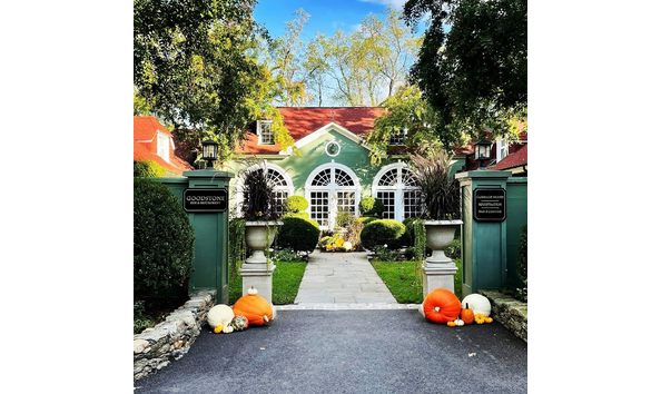 Big image goodstone3