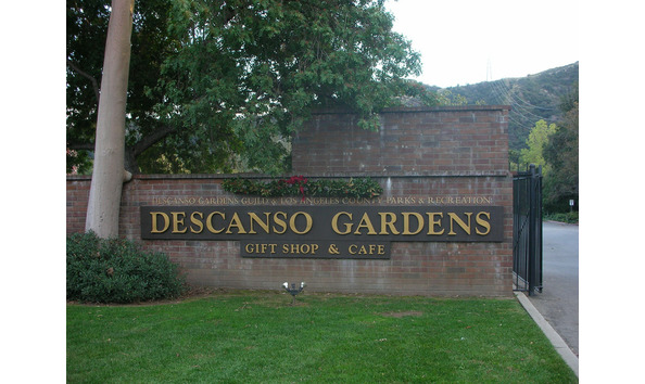 Big image descanso gardens