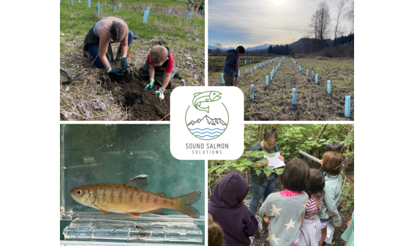 Organization Main Image