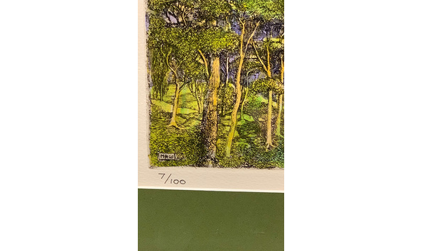 Big image mini magick20240616 5377 if8v29