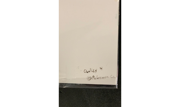 Big image mini magick20240616 5377 nh34gm