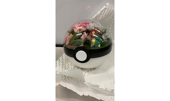 Big image 202311decor001   pok ball terrarium   bellossom