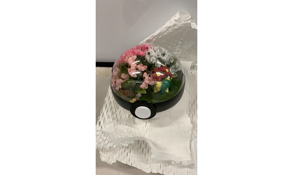 Big image 202311decor001 2   pok ball terrarium   bellossom