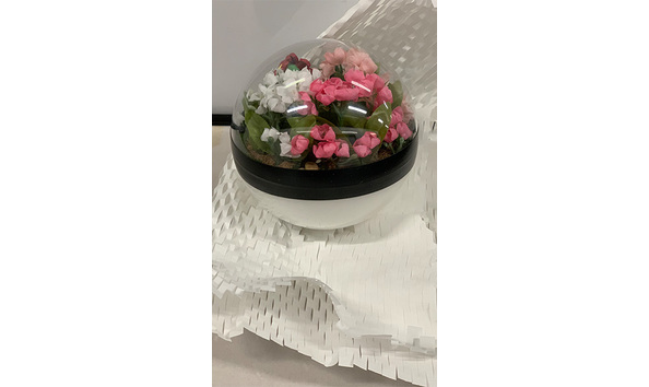 Big image 202311decor001 4   pok ball terrarium   bellossom