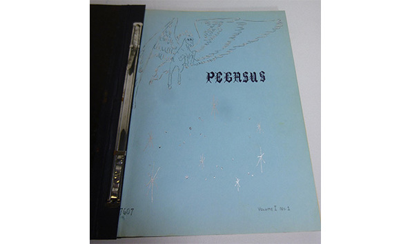 Big image 202103fmag011   pegasus