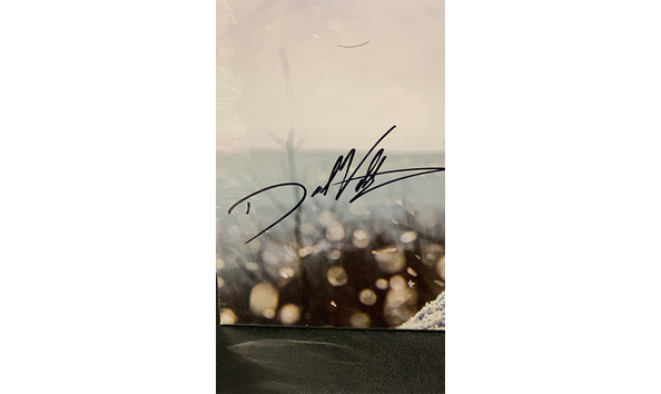 Big image 202404photo001 2   solo surfer   boba fett on carbonite