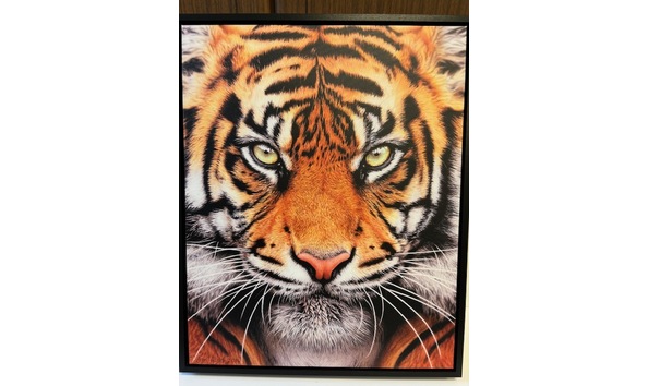 Big image 82e2d477 7ba6 492e 85cd b568b7c1552d