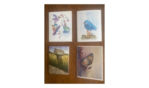 Big image notecards by bonnie mattick