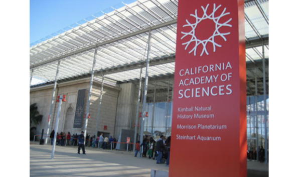 Big image screen shot 2018 03 15 at 9.18.49 am