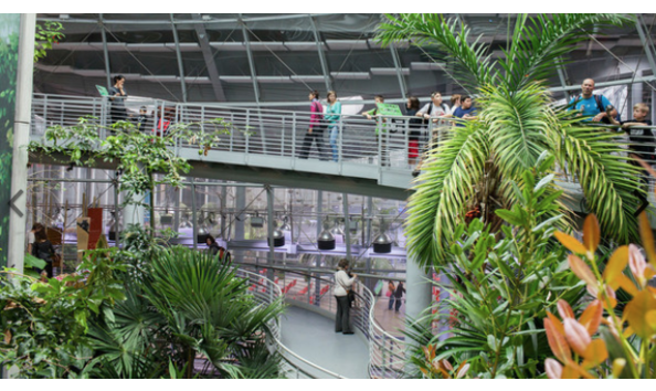 Big image screen shot 2018 03 15 at 9.18.55 am