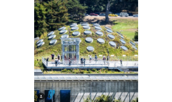 Big image screen shot 2018 03 15 at 9.19.14 am