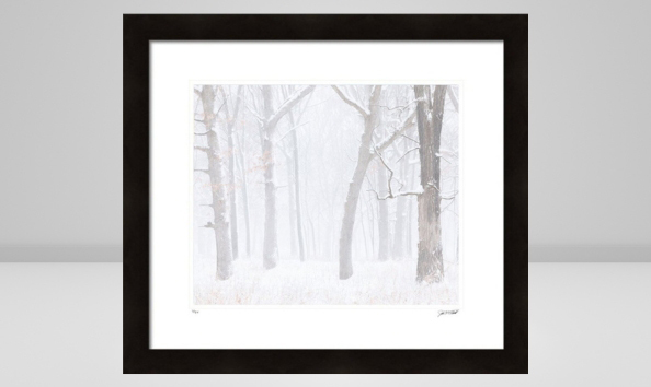 Big image winter ether 594 354