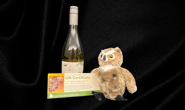 Big image a journey home rehabilitated wild animal release