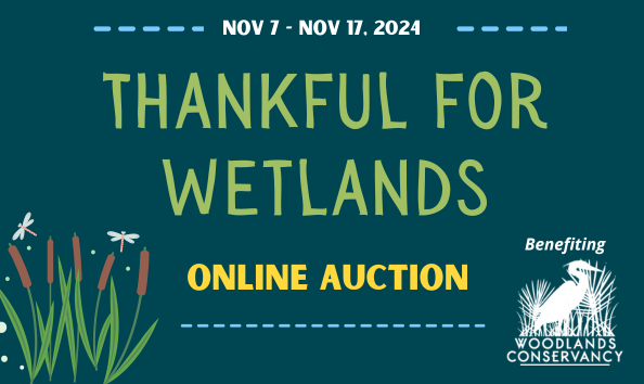 Organization Main Image