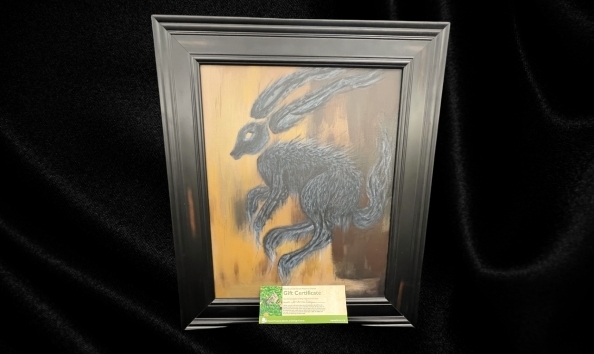 Big image hare today gone tomorrow rehab animal release