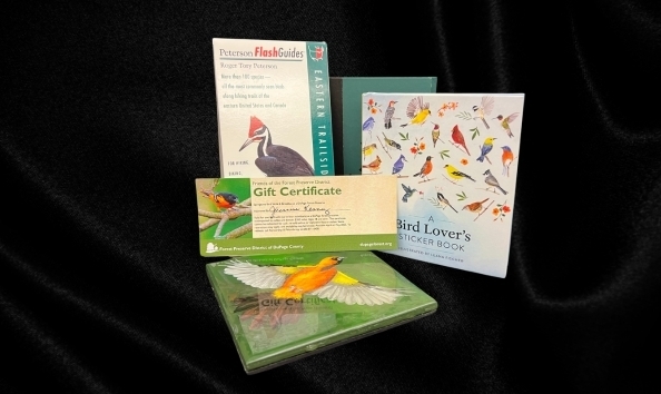 Big image springtime bird walk