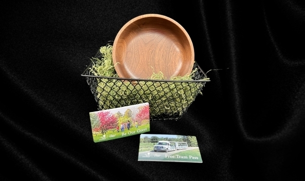 Big image tree hugger