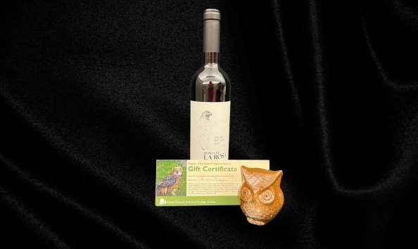 Big image homeward bound 2 594 354