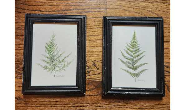 Big image whatsapp image 2024 09 12 at 16.42.42  1 