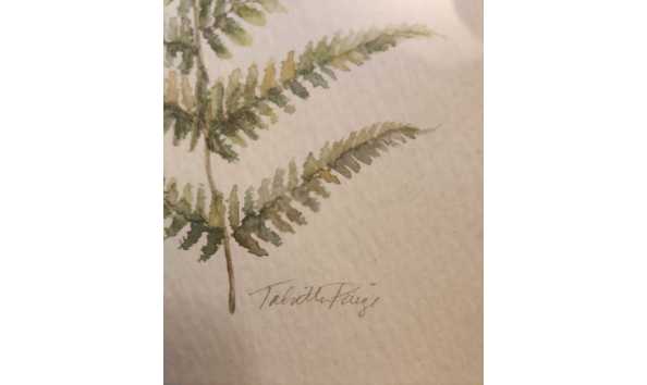 Big image whatsapp image 2024 09 12 at 16.43.42