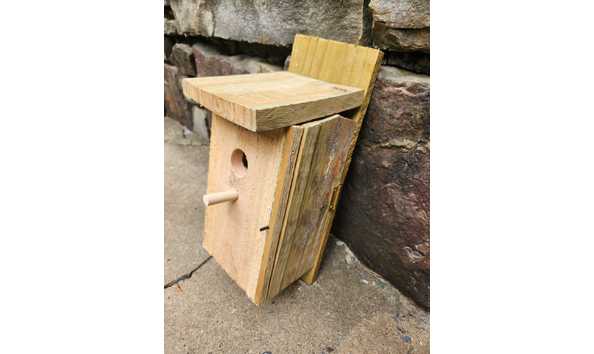 Big image whatsapp image 2024 09 13 at 18.09.28  1 